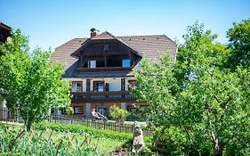Hansbauer Appartments